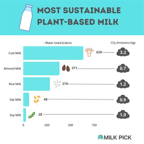Is soy milk part of a plant based diet